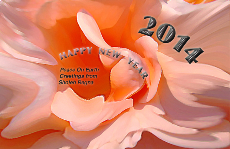 2014 New Year's greeting